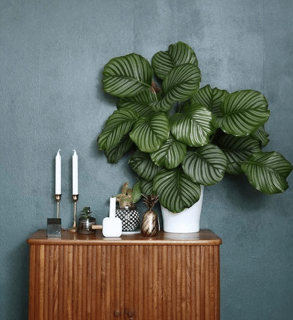 retro-vintage-deco retro-vintage-deco